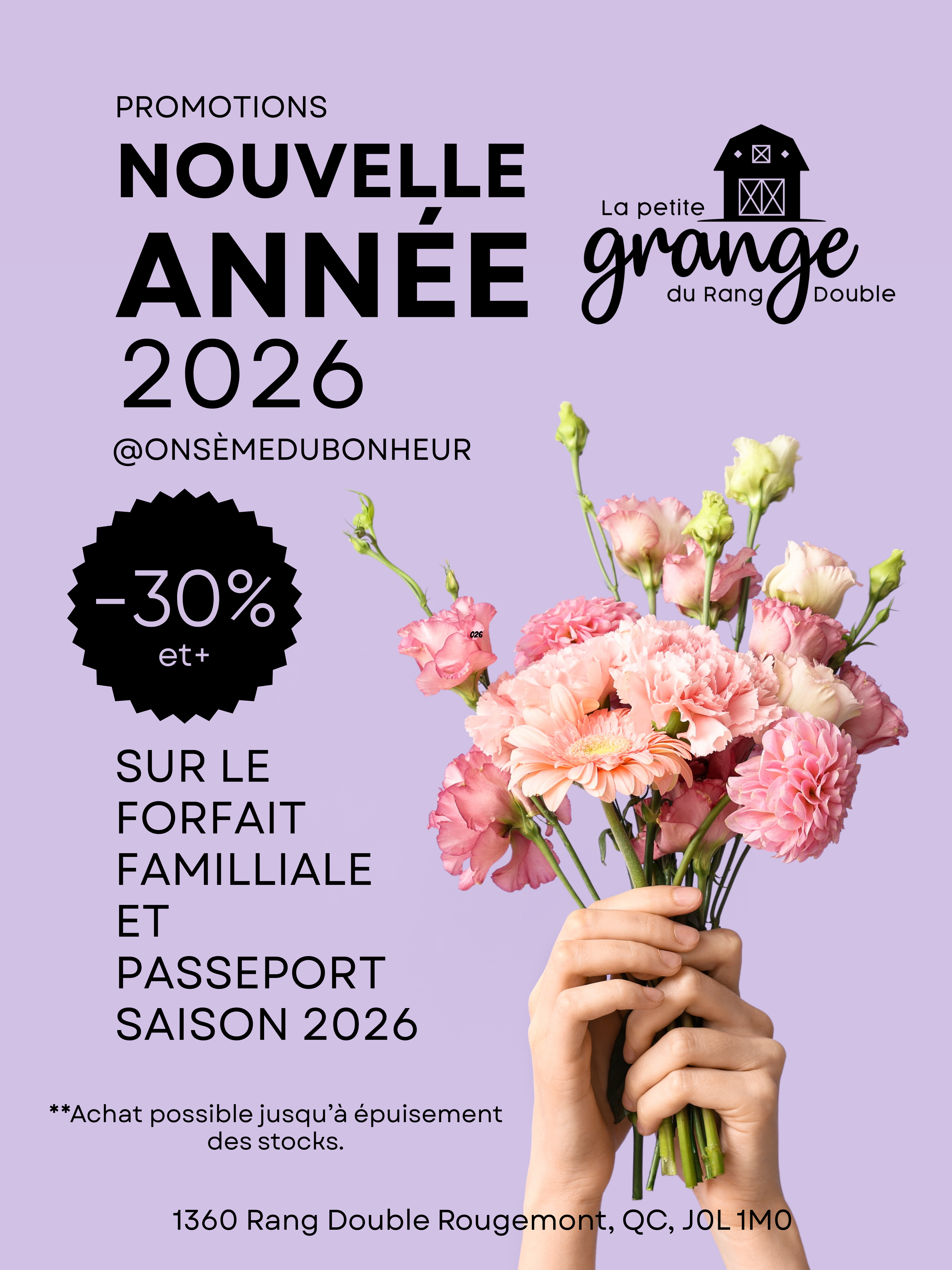 Promotions de la nouvelle année 2026