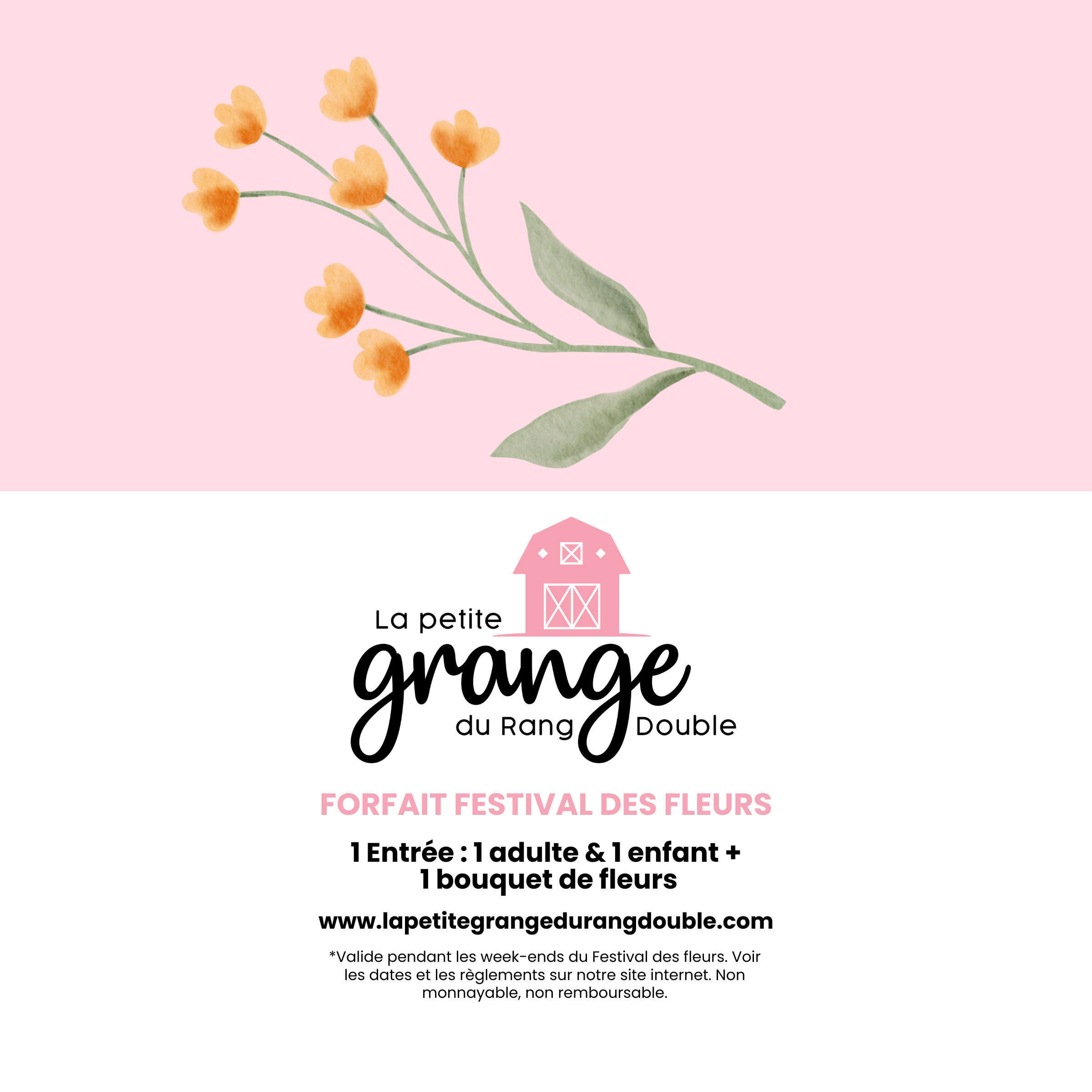 Forfait ( 1 adulte + 1 enfant )