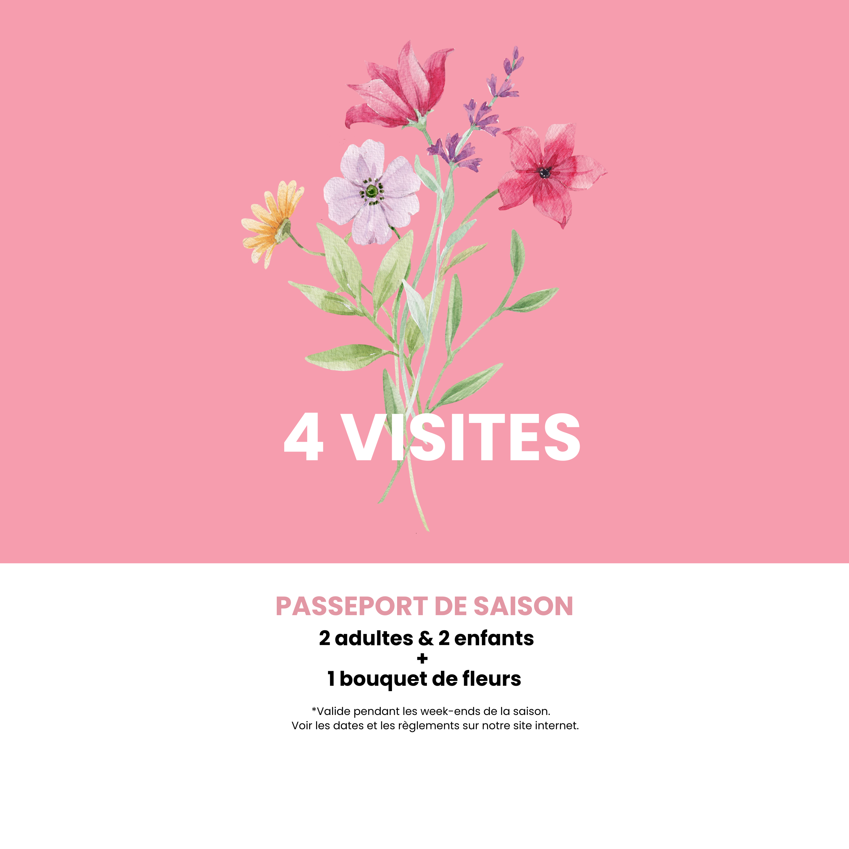 Passeport ( 2 adultes + 2 enfants )