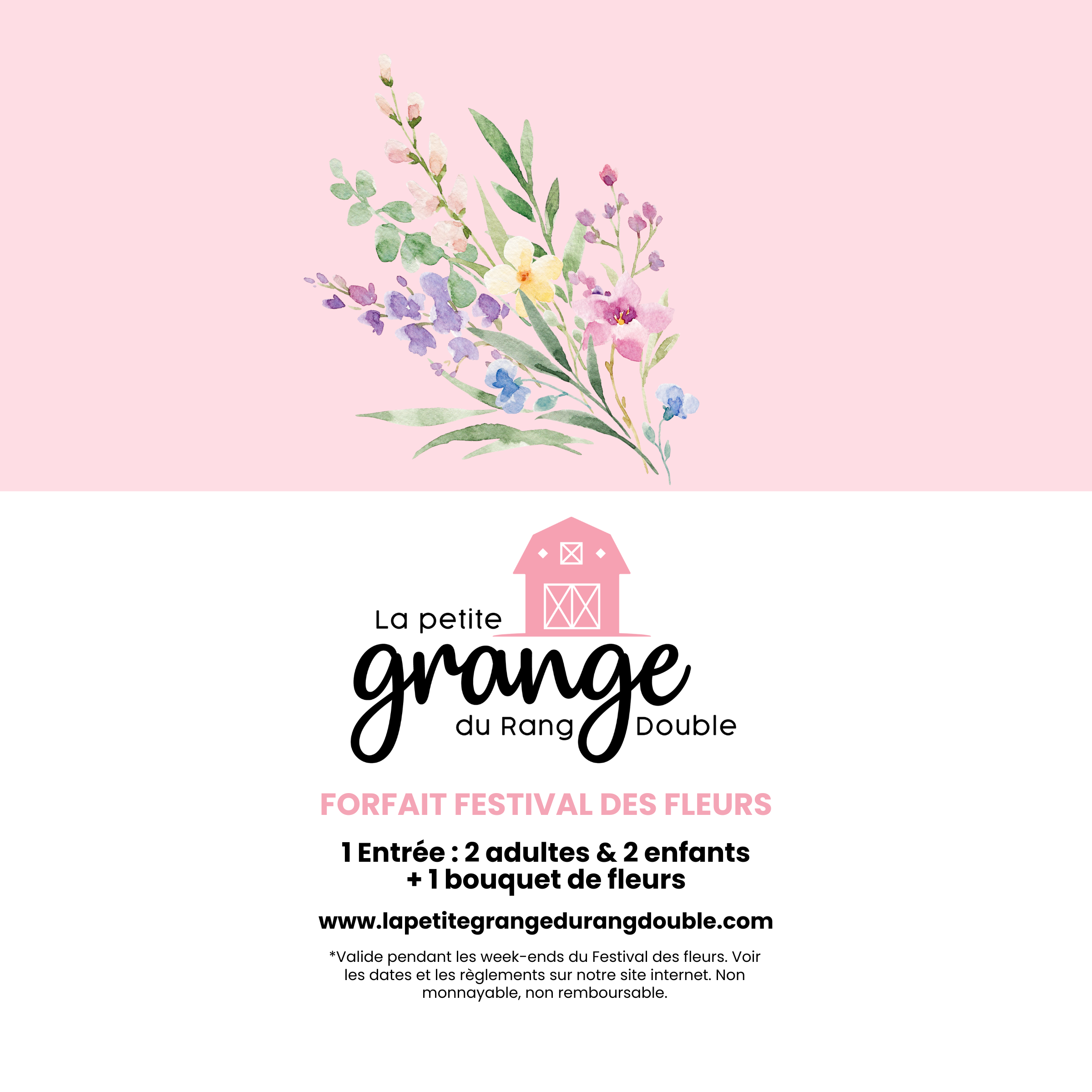 Forfait ( 2 adultes + 2 enfants )