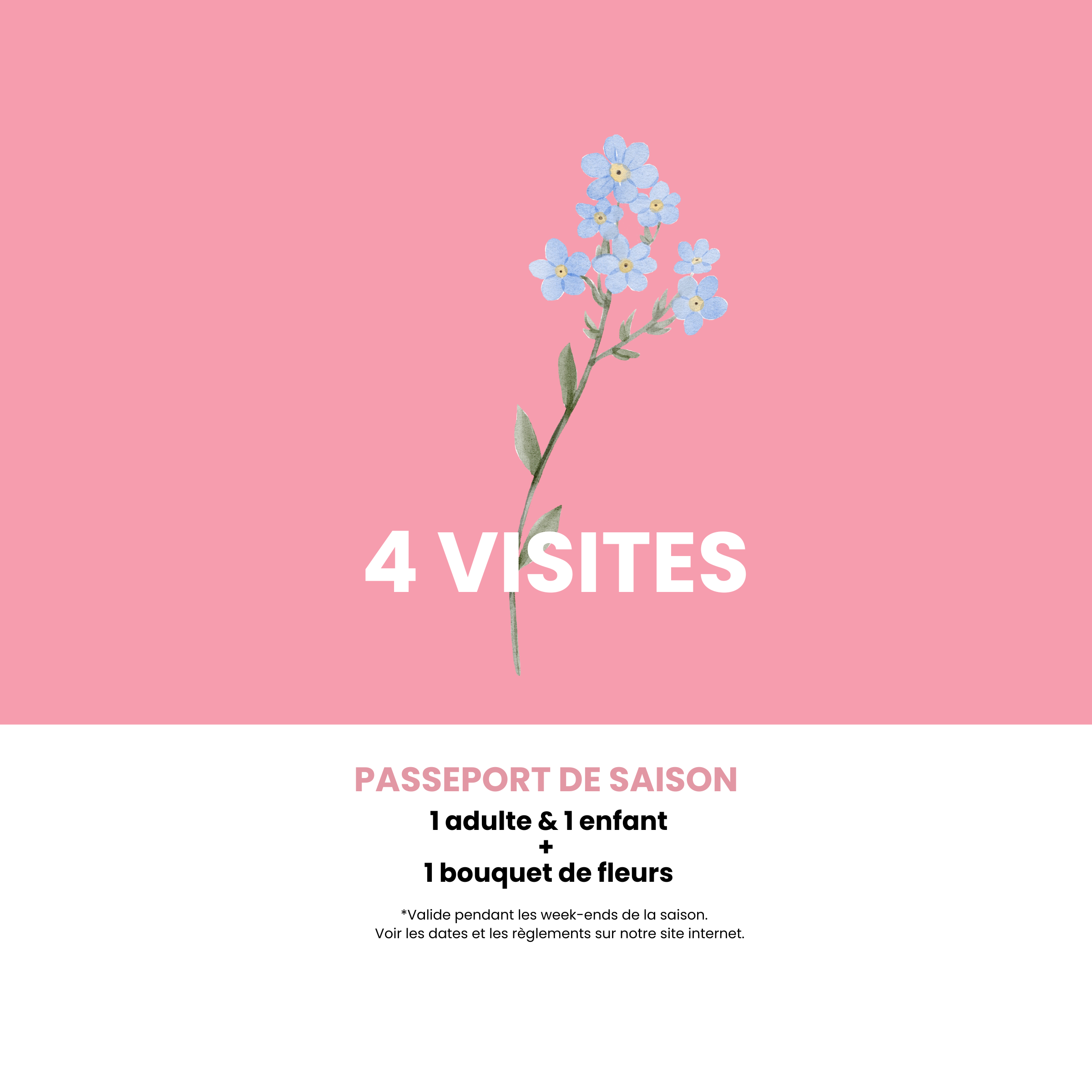 Passeport   ( 1 adulte + 1 enfant )