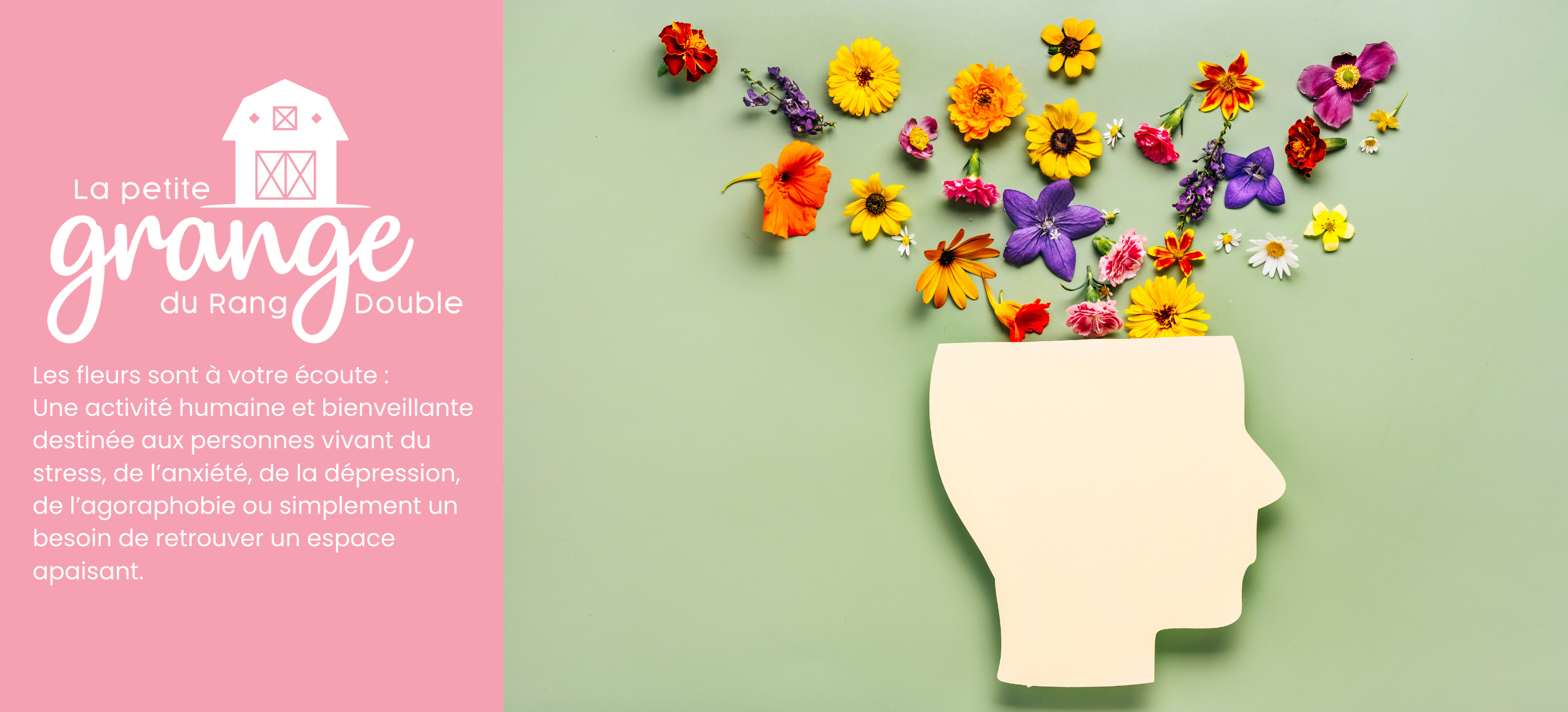 Activité spéciale du lundi 20 juillet 2026