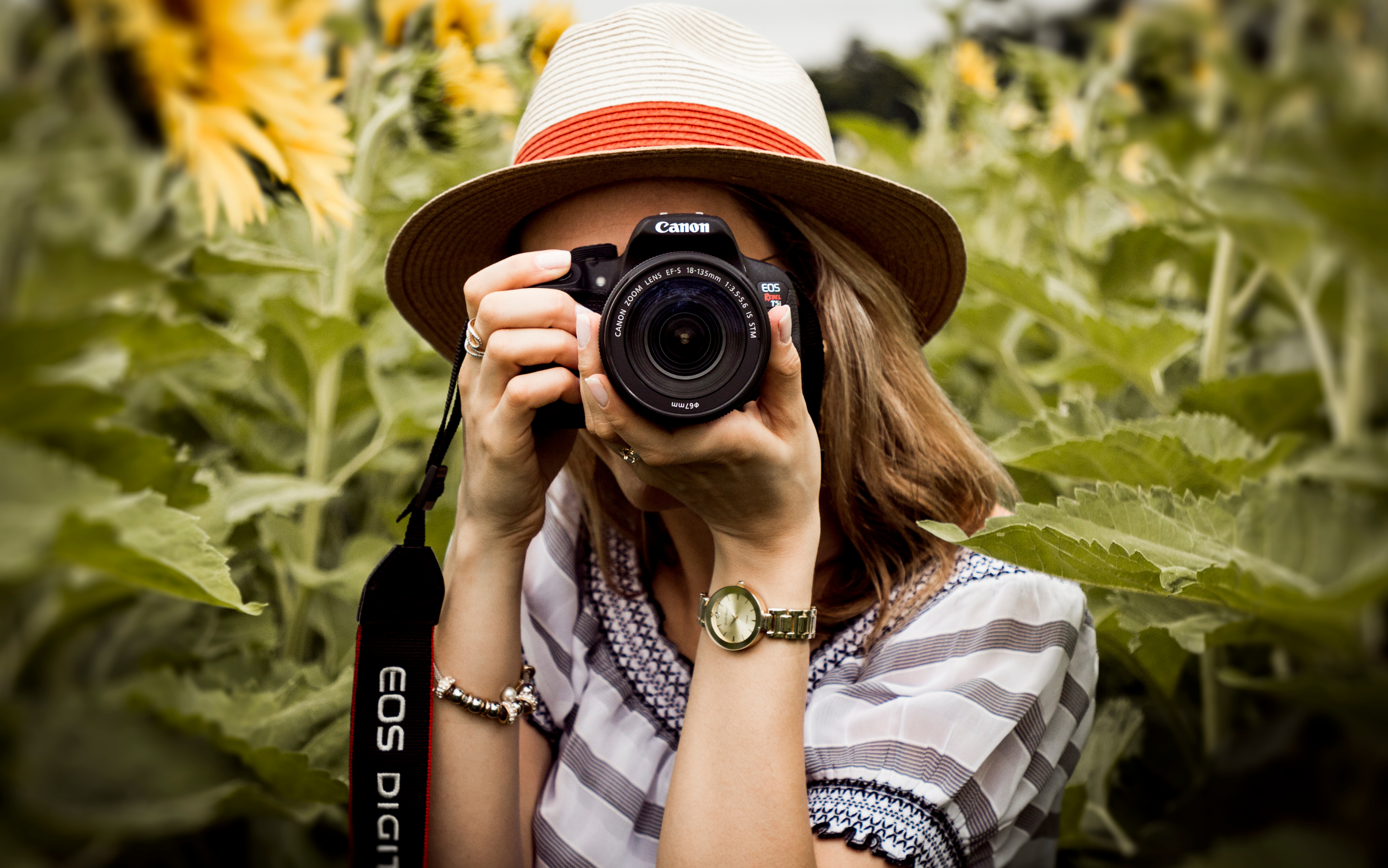 Mini Séances Photo dans les Champs de Fleurs