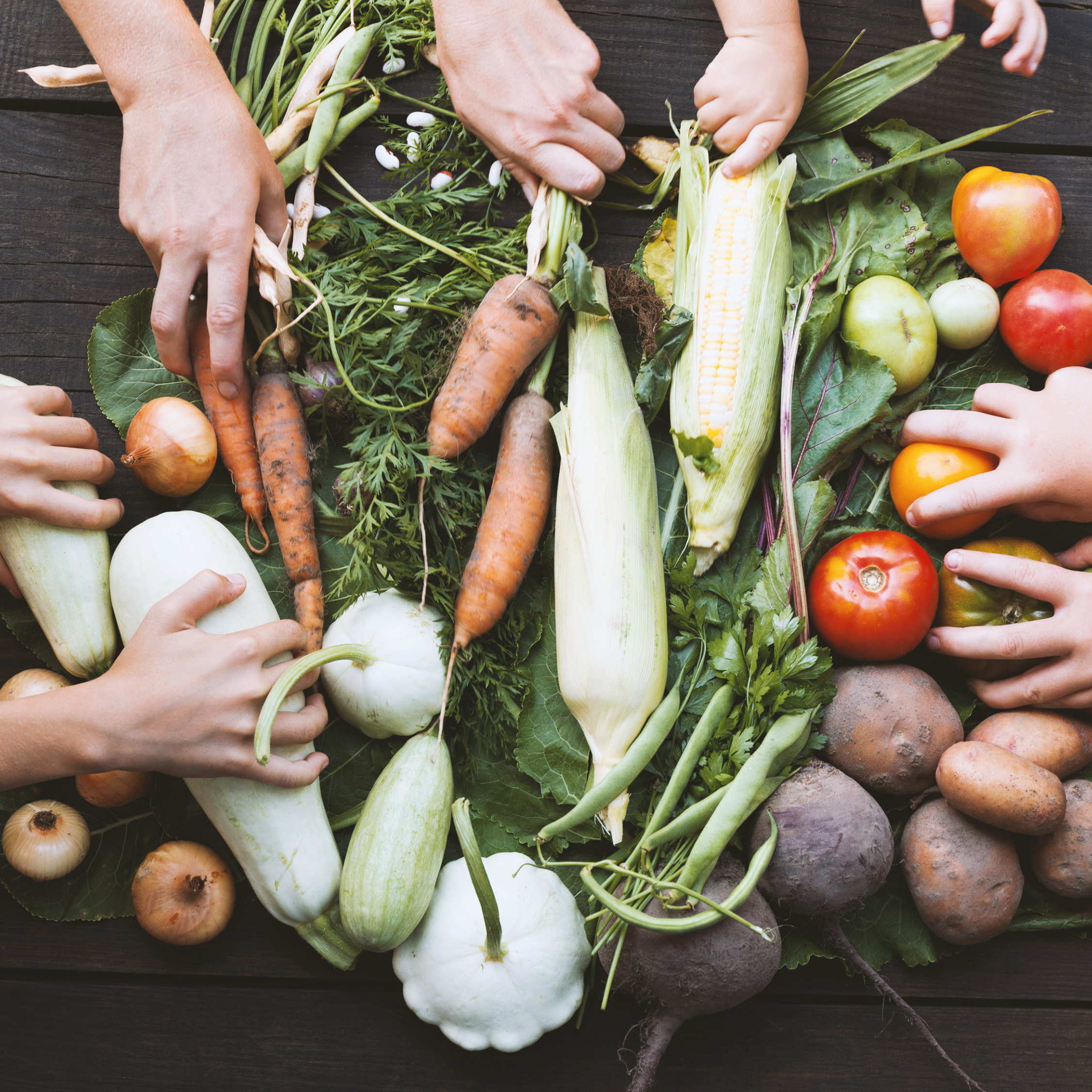 Activité de glanage du : 20 aout-21 septembre-12 octobre 2026